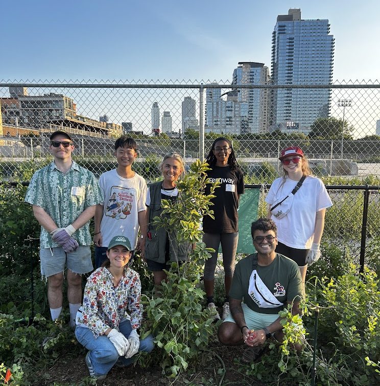 Weeding Wednesday Walk, July 23